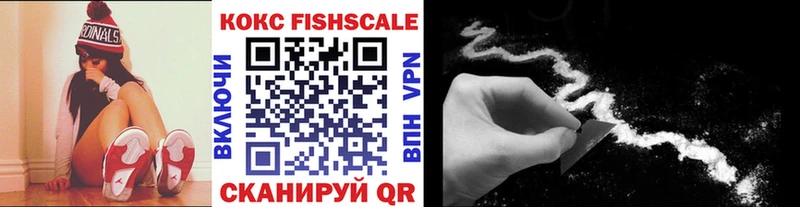 где можно купить   Южно-Сахалинск  MEGA маркетплейс  Кокаин FishScale 
