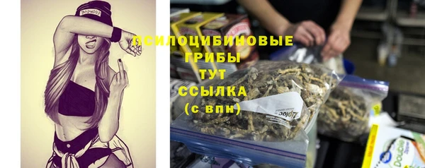 apvp Киренск