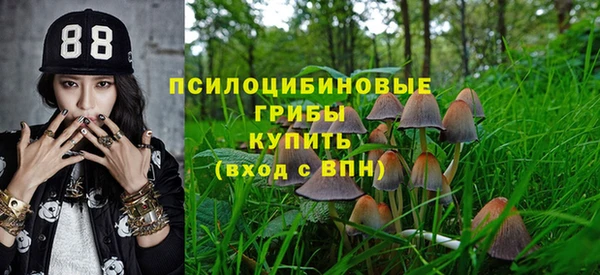 spice Карпинск