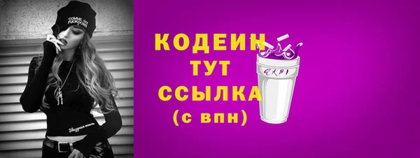 spice Карпинск
