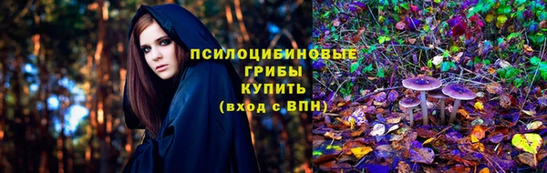 spice Касимов