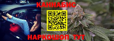 шишки Кингисепп