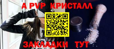 шишки Кингисепп