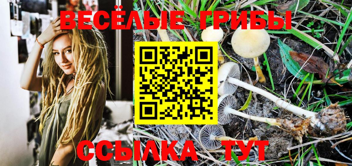 Галлюциногенные грибы Psilocybe  Вход с VPN  Южно-Сахалинск  цены наркотик  Галлюциногенные грибы прущие грибы 