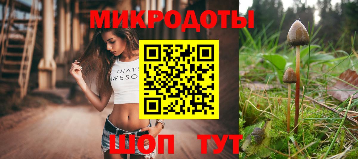 Псилоцибиновые грибы Cubensis Южно-Сахалинск
